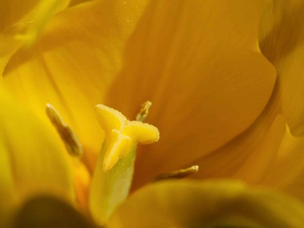 Comment fonctionne la communication immersive dans les entreprises ?